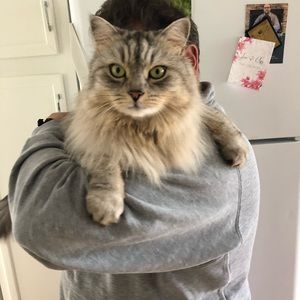 Meet your Posher, Nancy